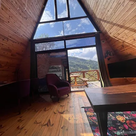 Irem Domek alpejski *